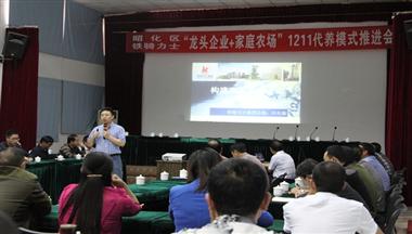 “1211”生(sheng)豬代(dai)養 大(da)有(yǒu)可(kě)觀